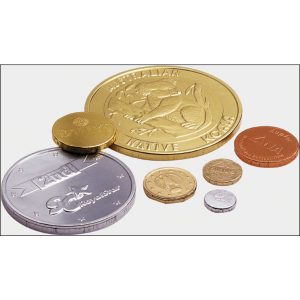 Chocolate Coin Net 26g- MCK Promotions