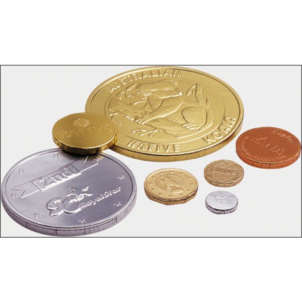 Chocolate Coin Net 26g- MCK Promotions